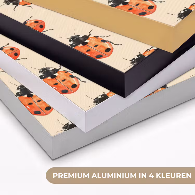 Lieveheersbeestjes - Patroon - Rood Textielframe zwart klein 947 -USP_kleurenNL