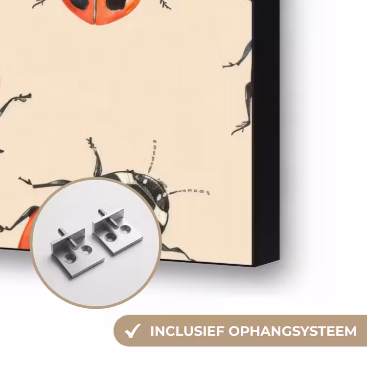 Lieveheersbeestjes - Patroon - Rood Textielframe zwart klein 947 -USP_ophangsysteemNL