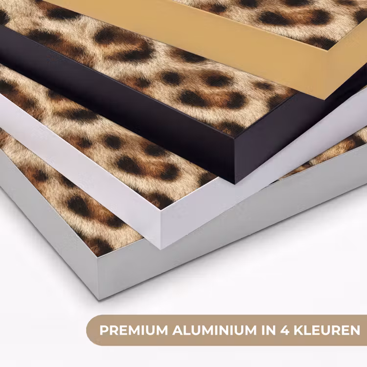Luipaard - Bruin - Vacht Textielframe zwart klein 947 -USP_kleurenNL