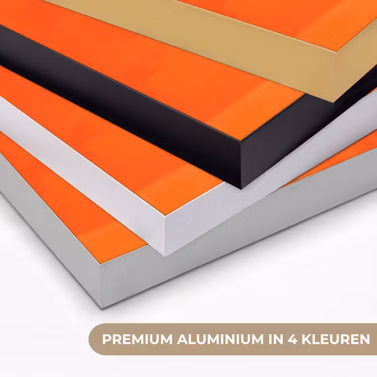Luipaarden - Stippen - Oranje Textielframe zwart klein -USP_kleurenNL
