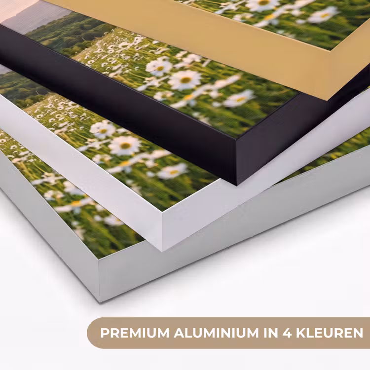 Madelief - Veld - Heuvels - Groen Textielframe zwart klein -USP_kleurenNL