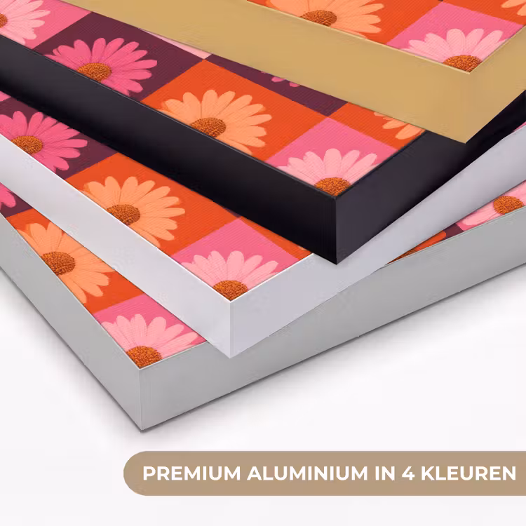 Madeliefjes - Dambord - Retro - Roze - Oranje Textielframe zwart klein 947 -USP_kleurenNL