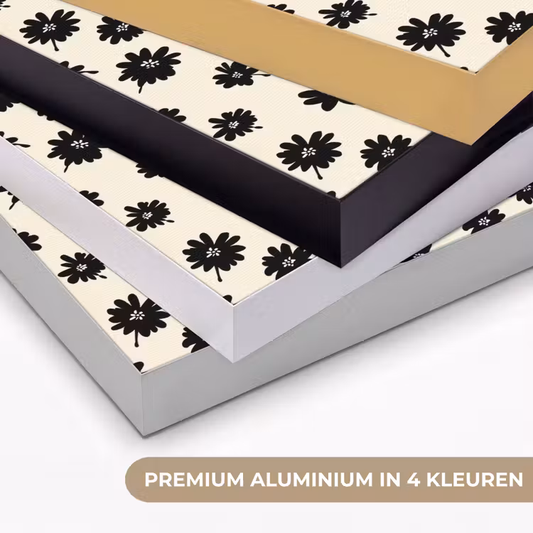 Madeliefjes - Grafisch - Zwart - Beige Textielframe zwart klein 947 -USP_kleurenNL