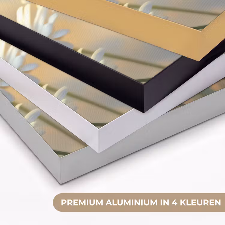 Madeliefjes - Wit - Zonlicht Textielframe zwart klein -USP_kleurenNL