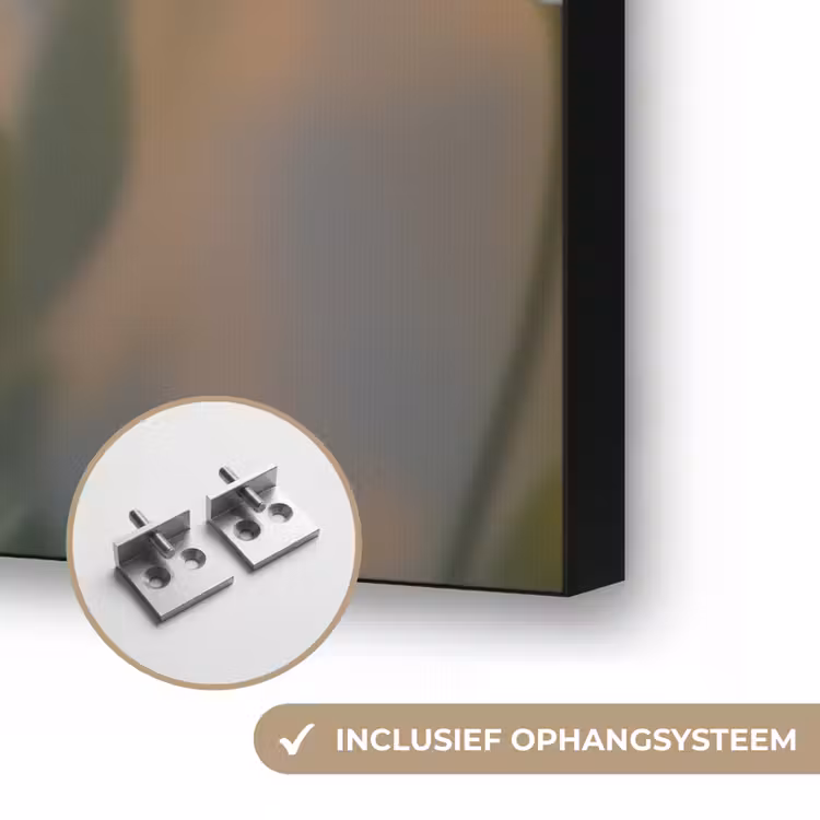 Madeliefjes - Wit - Zonlicht Textielframe zwart klein -USP_ophangsysteemNL
