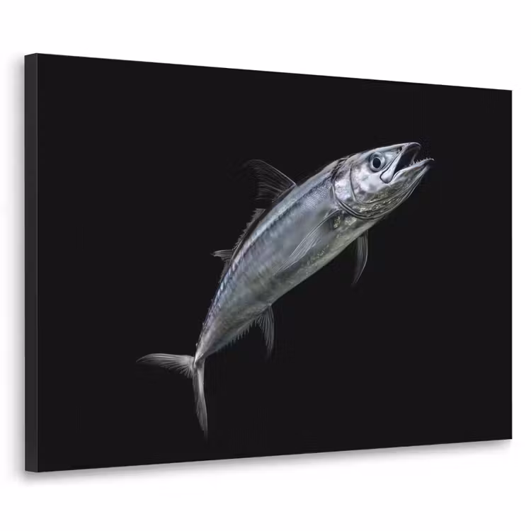 Makreel - Vis - Zwart Textielframe - compleet frame klein -3d