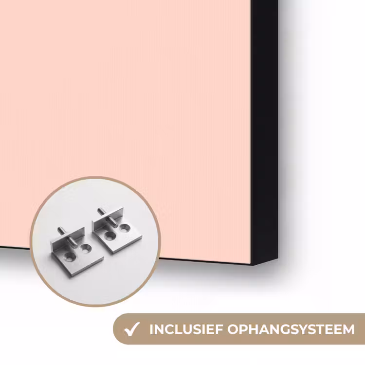 Margrieten - Boeket - Strikje - Roze Textielframe zwart klein -USP_ophangsysteemNL