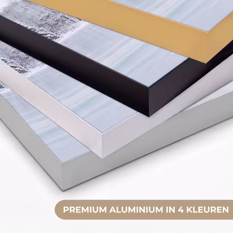 Meer - Dennen - IJs - Winter - Rustgevend Textielframe zwart klein -USP_kleurenNL