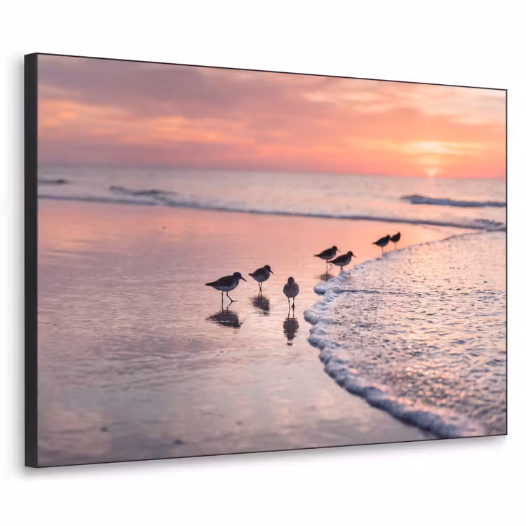 Meeuwen - Strand - Zee - Roze Textielframe zwart klein -3d