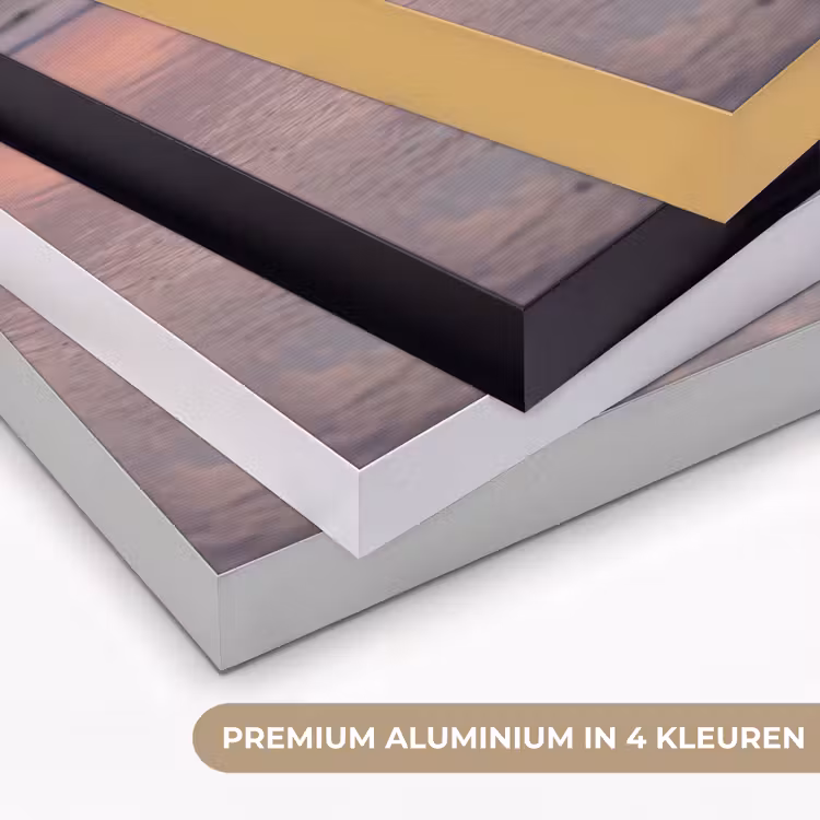 Meeuwen - Strand - Zee - Roze Textielframe zwart klein -USP_kleurenNL