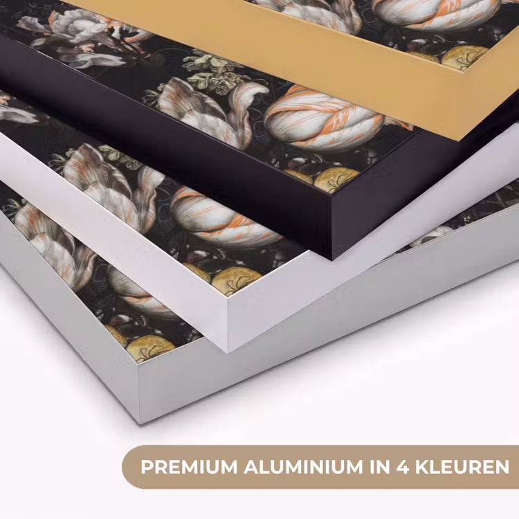 Meisje met de parel - Johannes Vermeer - Bloemen Textielframe zwart klein -USP_kleurenNL