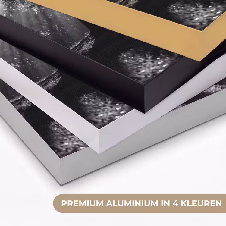 Mens - Hond - Natuur - Zwart-wit - Silhouet Textielframe zwart klein -USP_kleurenNL