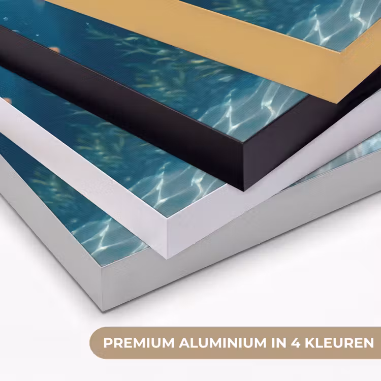 Mens - Onderwater - Vis - Modern - Blauw Textielframe zwart klein -USP_kleurenNL