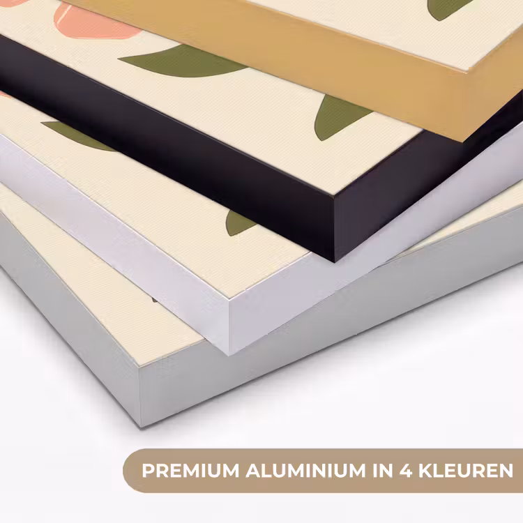 Minimalistisch - Bloemen - Bladeren - Roze Textielframe zwart klein -USP_kleurenNL