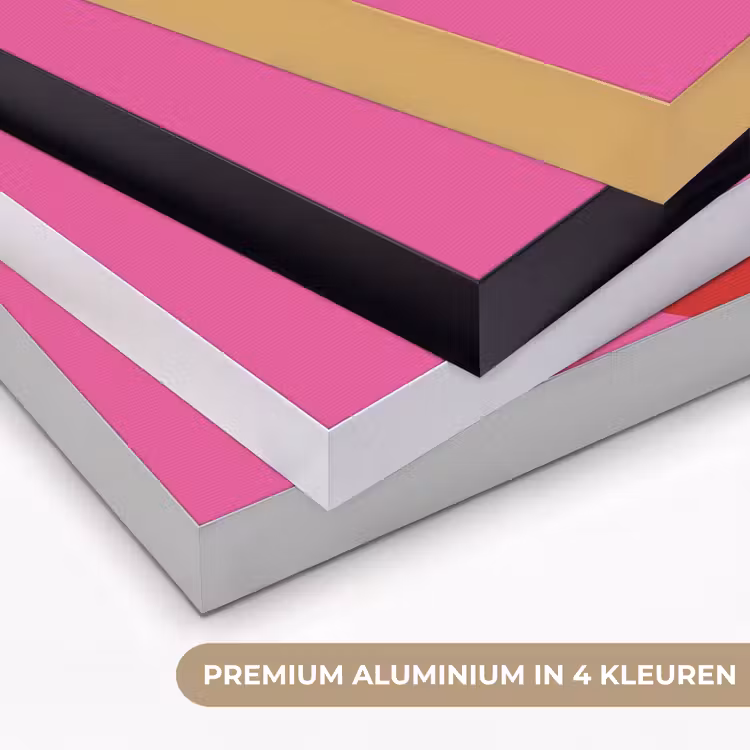 Minimalistisch - Rood - Roze - Hartjes Textielframe zwart klein -USP_kleurenNL