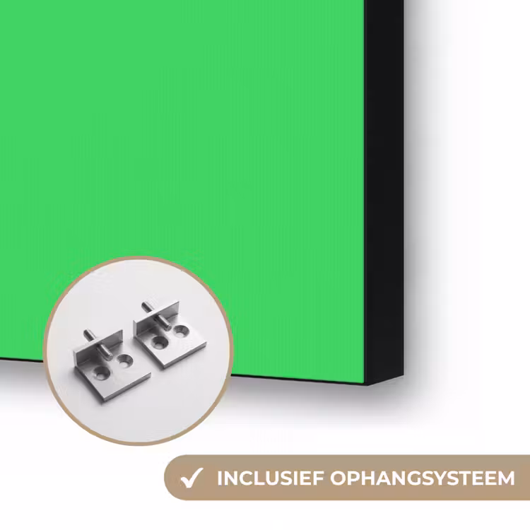 Mint - Green - Groen Textielframe zwart klein 947 -USP_ophangsysteemNL