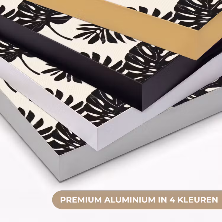 Modern - Monstera - Zwart Textielframe zwart klein 947 -USP_kleurenNL