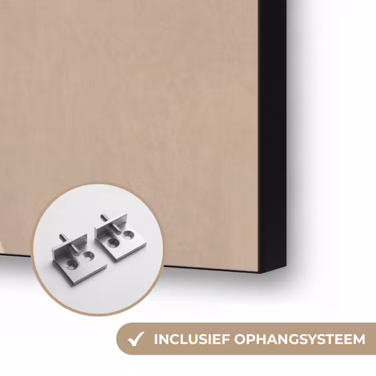 Modern - Vrouw - Goud Textielframe zwart klein -USP_ophangsysteemNL