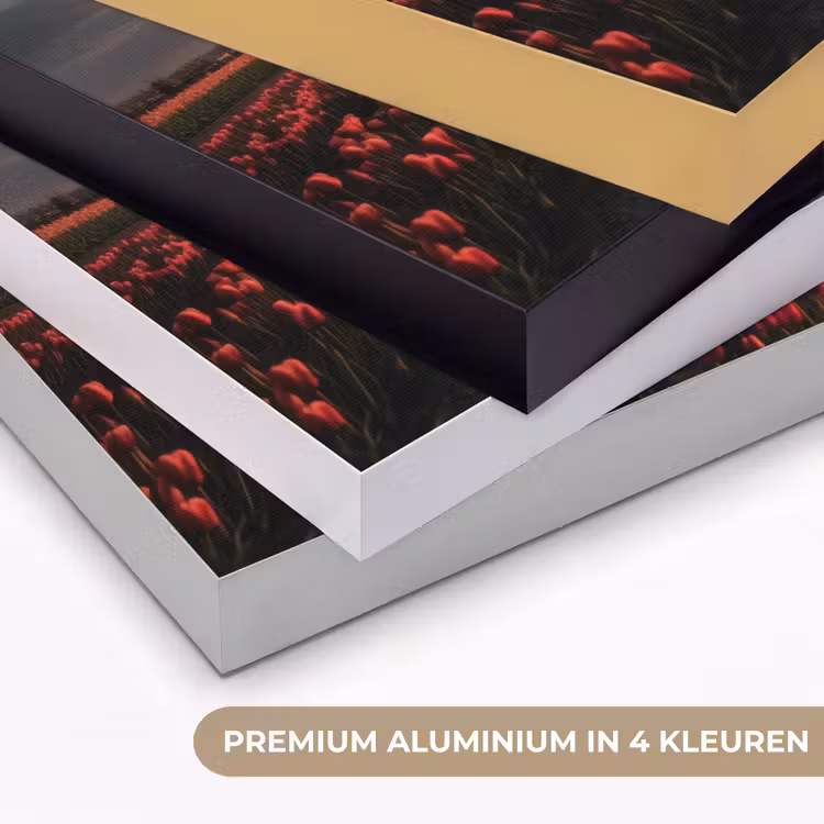 Molen - Zonsondergang - Tulpen - Rood Textielframe zwart klein -USP_kleurenNL