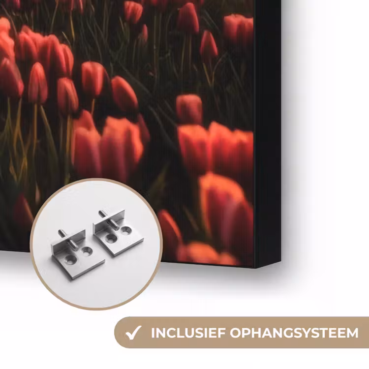 Molen - Zonsondergang - Tulpen - Rood Textielframe zwart klein -USP_ophangsysteemNL