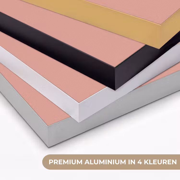 Muted - Salmon - Koraal Textielframe zwart klein 947 -USP_kleurenNL