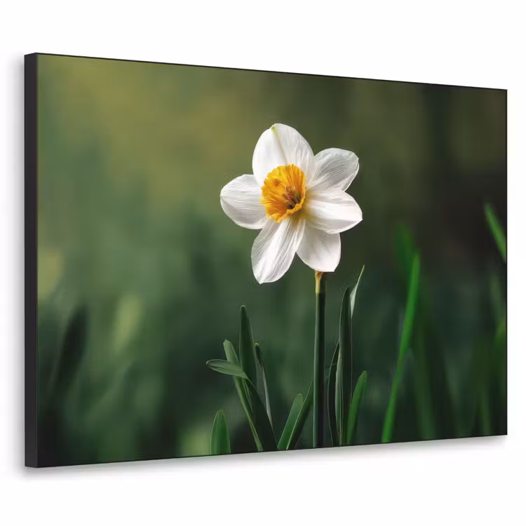 Narcis - Bloem - Wit - Grassprieten Textielframe - compleet frame klein -3d