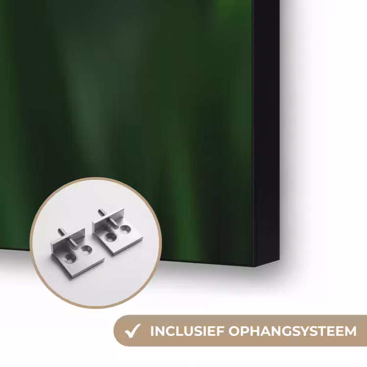 Narcis - Bloem - Wit - Grassprieten Textielframe zwart klein -USP_ophangsysteemNL