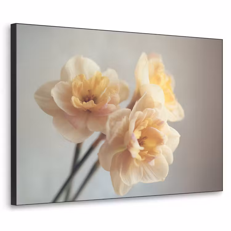 Narcissen - Geel - Bloemblaadjes Textielframe - compleet frame klein -3d