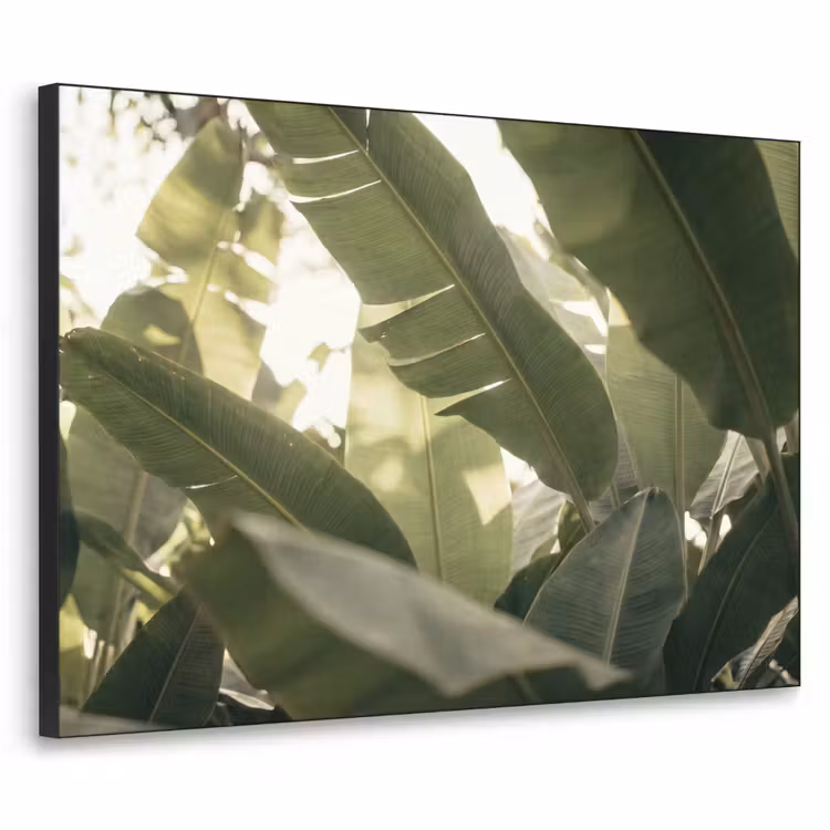 Natuur - Bladeren - Groen - Tropisch - Detail Textielframe zwart klein -3d