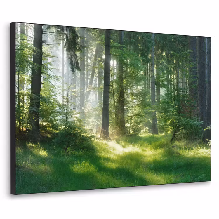Natuur - Bomen - Bos - Groen - Zon - Gras - Planten Textielframe zwart klein -3d