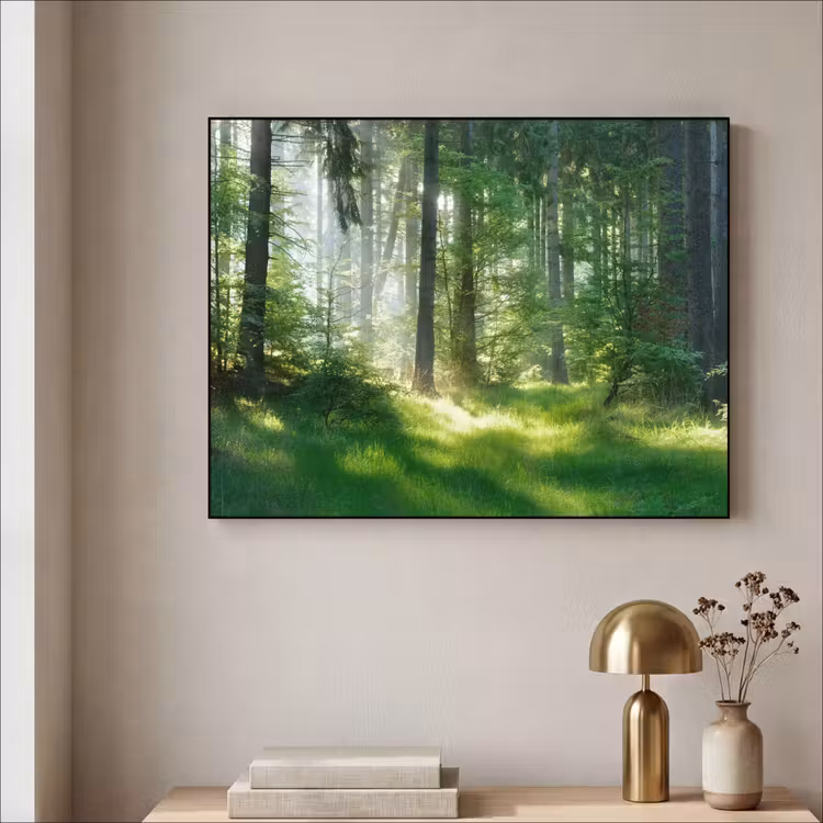 Natuur - Bomen - Bos - Groen - Zon - Gras - Planten Textielframe zwart klein -sfeer2