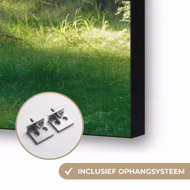 Natuur - Bomen - Bos - Groen - Zon - Gras - Planten Textielframe zwart klein -USP_ophangsysteemNL