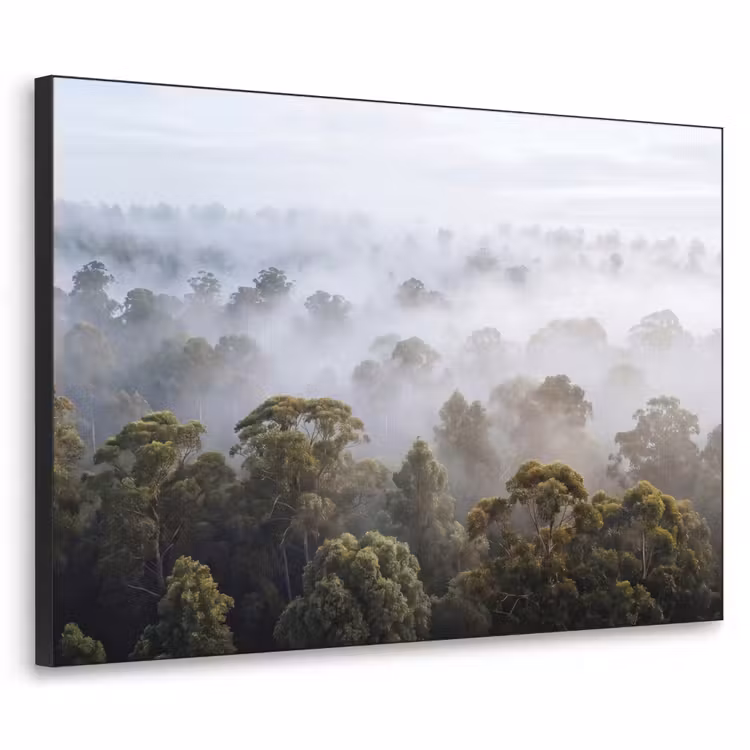 Natuur - Mist - Bos - Ochtend - Goud Textielframe zwart klein -3d