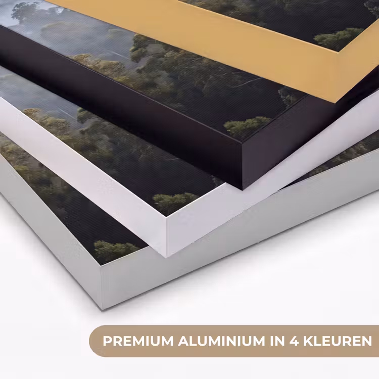 Natuur - Mist - Bos - Ochtend - Goud Textielframe zwart klein -USP_kleurenNL
