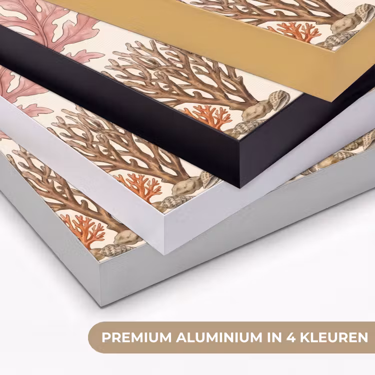 Natuur - Onderwater - Botanisch - Vintage - Kleurrijk Textielframe zwart klein -USP_kleurenNL