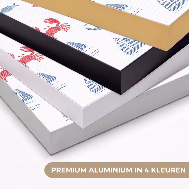 Nautisch - Illustraties - Kleurrijk Textielframe zwart klein 947 -USP_kleurenNL