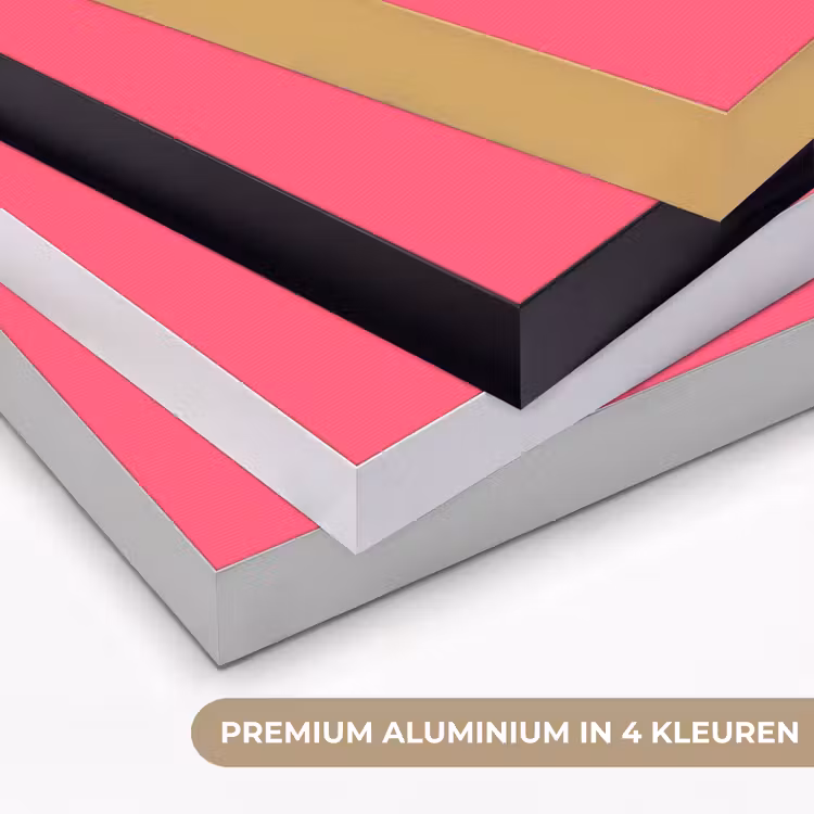 Neon - Flamingo - Roze Textielframe zwart klein 947 -USP_kleurenNL