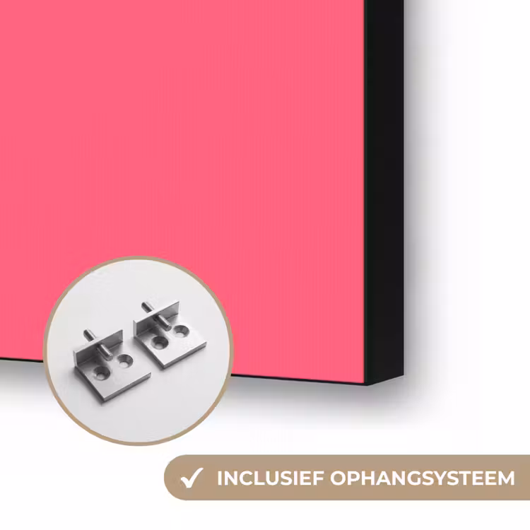 Neon - Flamingo - Roze Textielframe zwart klein 947 -USP_ophangsysteemNL