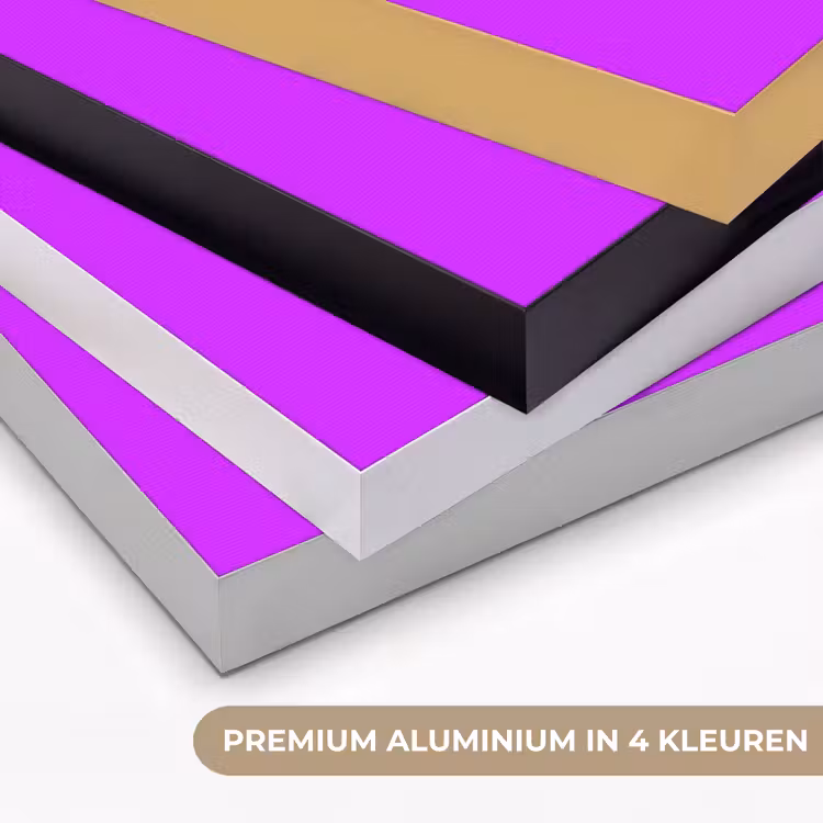 Neon - Orchid - Paars Textielframe zwart klein 947 -USP_kleurenNL