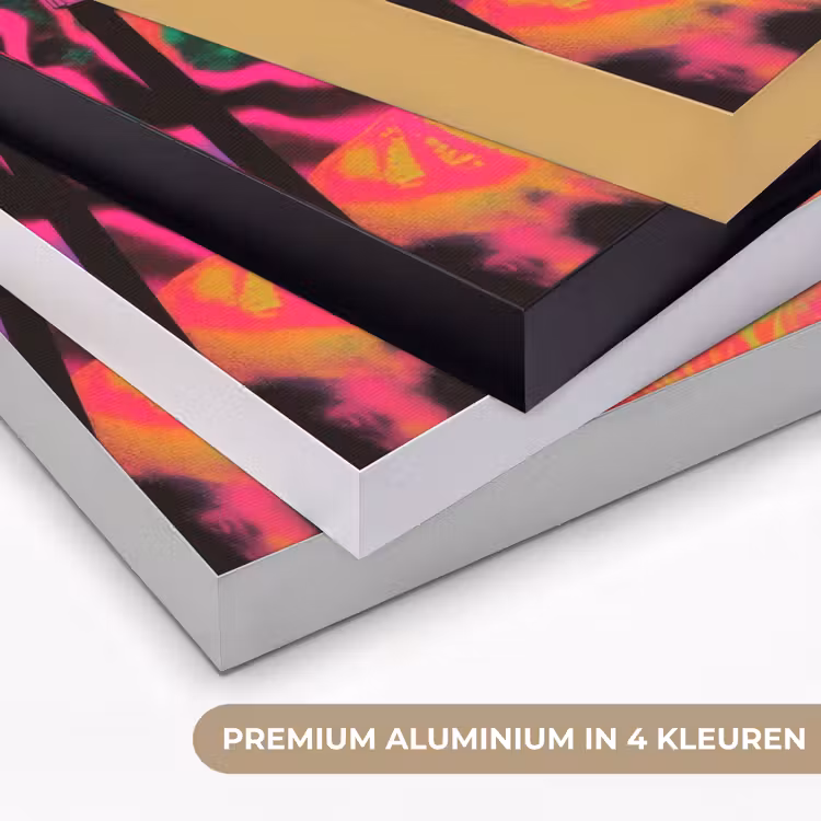 Neon - Vrouw - Microfoon Textielframe zwart klein -USP_kleurenNL