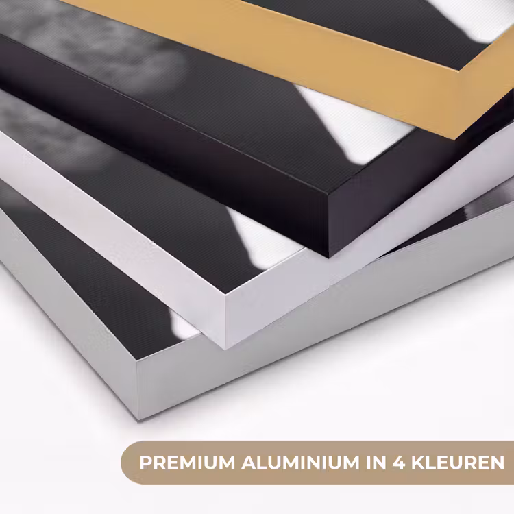Non - Roken - Portret - Zwart - Wit - Rebels Textielframe zwart klein -USP_kleurenNL