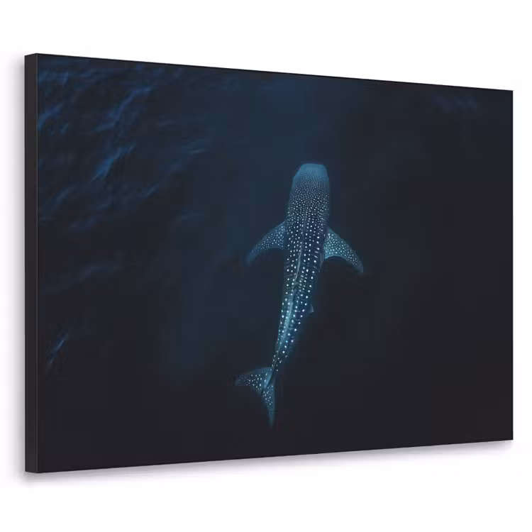 Oceaan - Walvishaai - Donkerblauw - Vlekken Textielframe zwart klein -3d