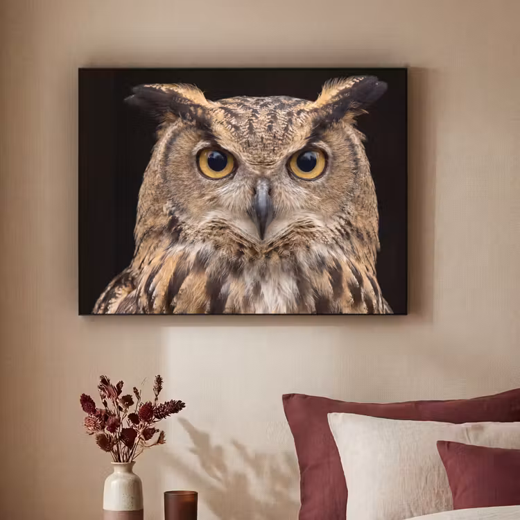 Oehoe - Uil - Portret - Bruin Textielframe zwart klein -sfeer1