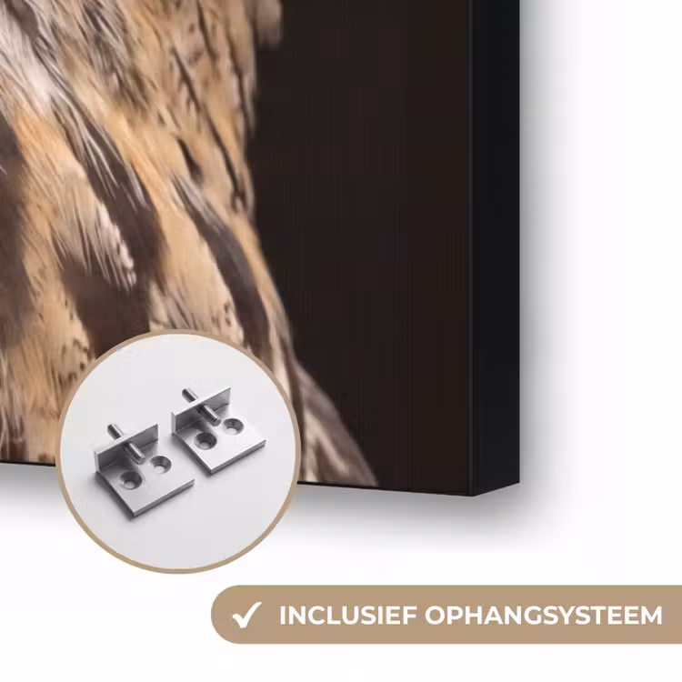 Oehoe - Uil - Portret - Bruin Textielframe zwart klein -USP_ophangsysteemNL