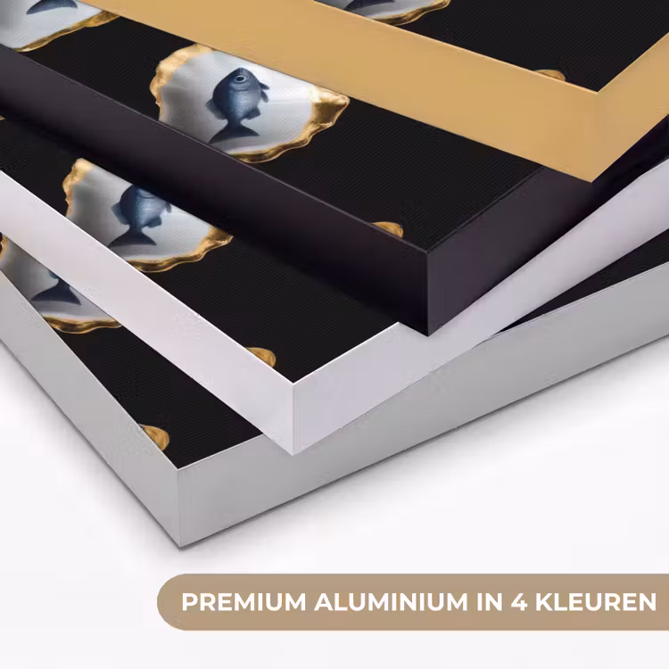 Oesters - Vissen - Blauw - Goud Textielframe zwart klein -USP_kleurenNL
