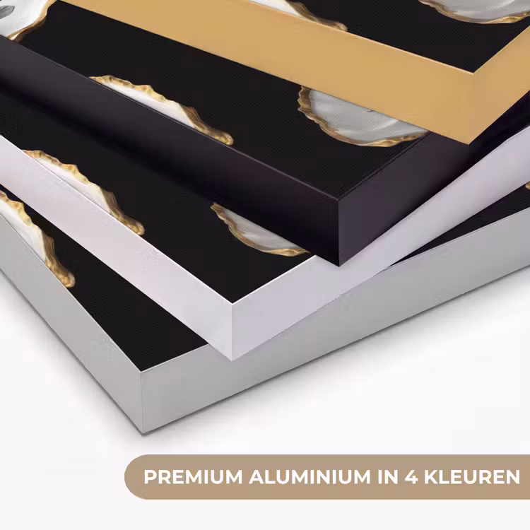 Oesters - Zwart - Vissen - Goud Textielframe zwart klein -USP_kleurenNL