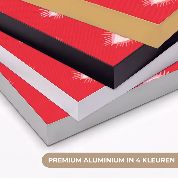 Ogen - Hart - Abstract - Rood - Roze Textielframe zwart klein 947 -USP_kleurenNL