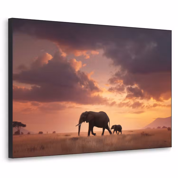 Olifanten - Grasland - Zonsondergang Textielframe zwart klein -3d