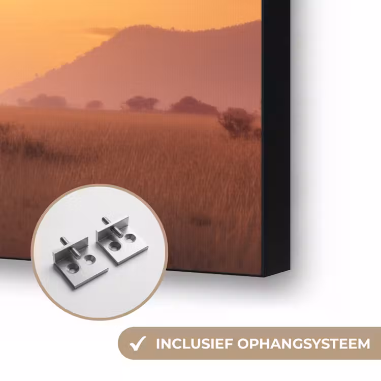 Olifanten - Grasland - Zonsondergang Textielframe zwart klein -USP_ophangsysteemNL