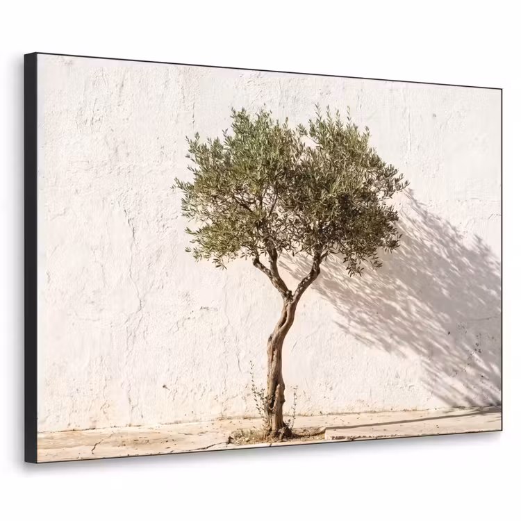 Art frame - Olijfboom - muur - wit - Olijfboom - muur - wit Textielframe zwart klein